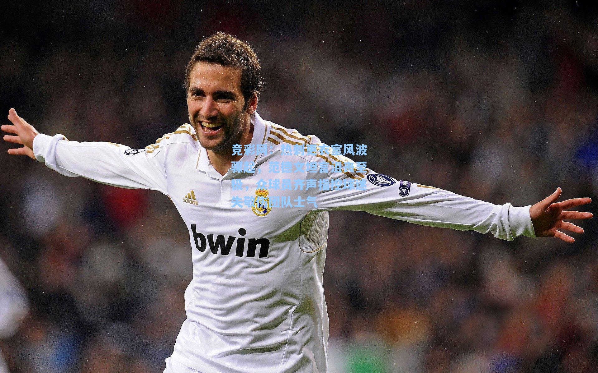 热刺更衣室风波骤起，范德文坦言沮丧至极，众球员齐声指控球迷失敬伤团队士气